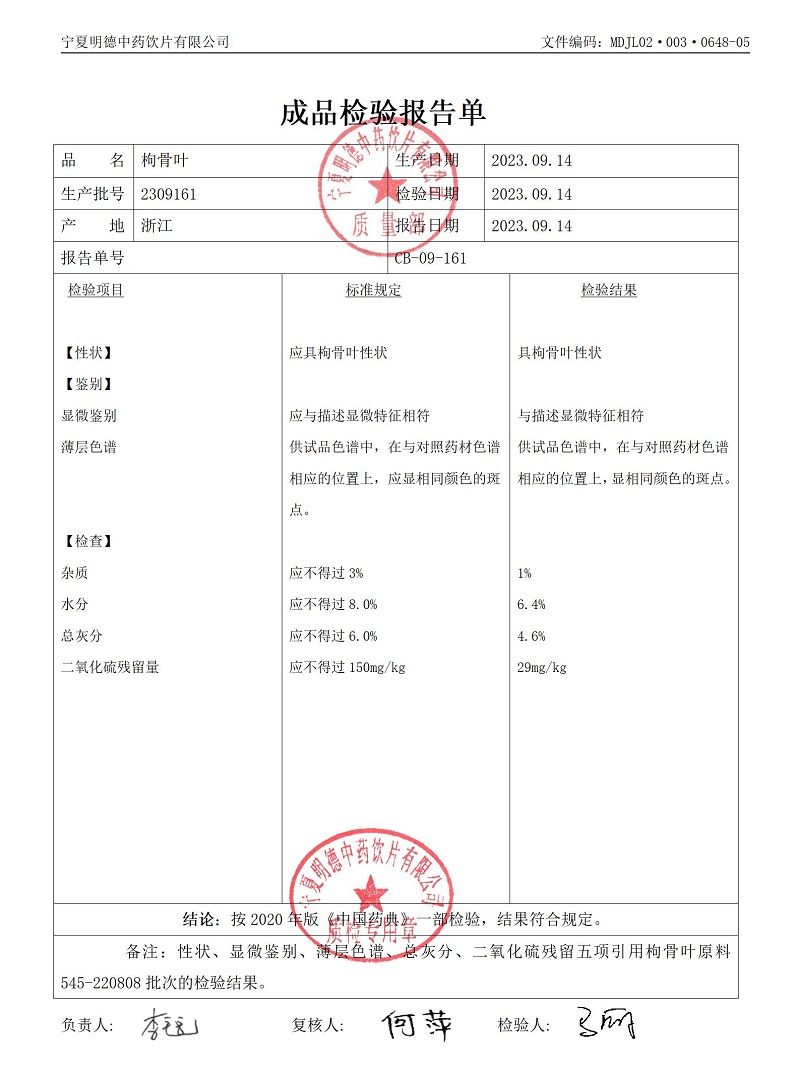 2309161枸骨葉.jpg
