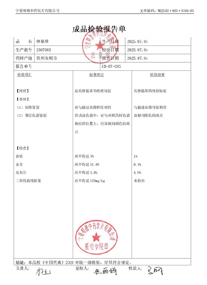 2507085伸筋草.jpg